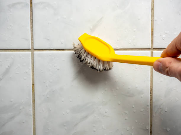 Best Best Mold Removal Companies  in Helena, OK
