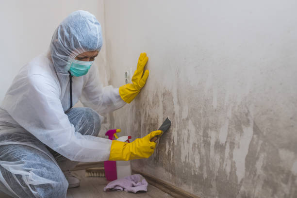 Crawl Space Mold Removal in Helena, OK