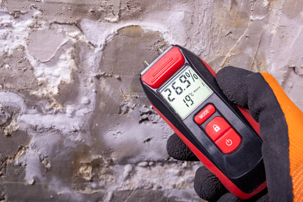 Best Mold Testing  in Helena, OK