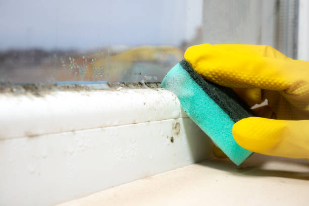 Best Residential Mold Removal  in Helena, OK