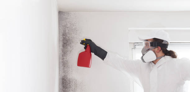 Best Crawl Space Mold Removal  in Helena, OK