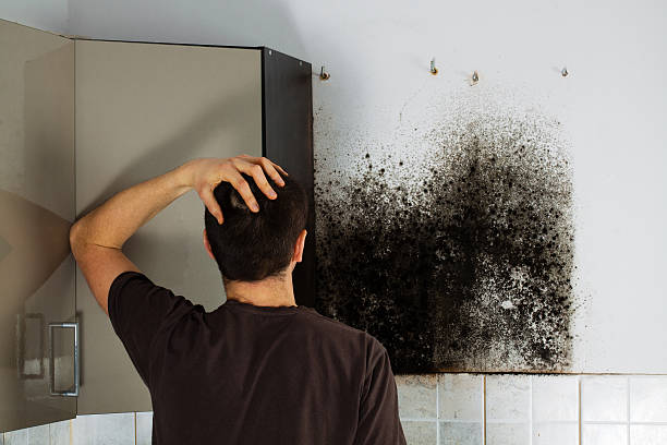Mold Removal Process in Helena, OK