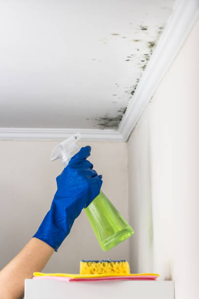 Best Water Damage Restoration  in Helena, OK
